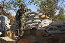 Asad’s Officer Ghetto: Why the Syrian Army Remains Loyal
