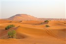 Arabian Peninsula Roundup (January 18)