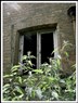 Vénus Khoury-Ghata: The House of Nettles