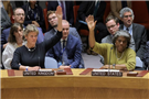The United Nations Fails in Palestine, Again