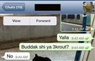 The Whispers of WhatsApp: Beyond Facebook and Twitter in the Middle East 