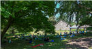 International Day of Yoga Action for Palestinian Liberation Solidarity Statement