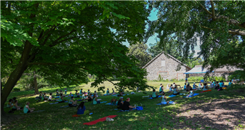 International Day of Yoga Action for Palestinian Liberation Solidarity Statement
