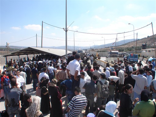 Palestine Media Roundup (November 12)