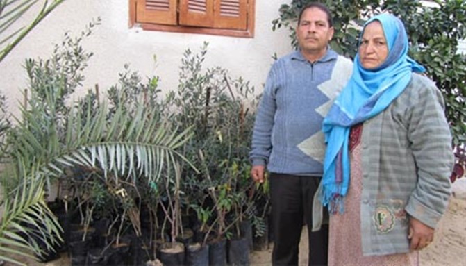 [Abdel Azim and Ma’zouza Abu Rujailah standing besides olive seedlings. Image from pchrgaza.org.]