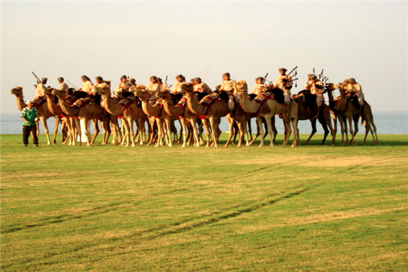 ROP Camel Band Oman (Image via Wikimedia Commons)