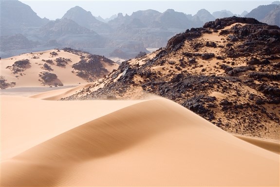 Maghreb Media Roundup (7 August)