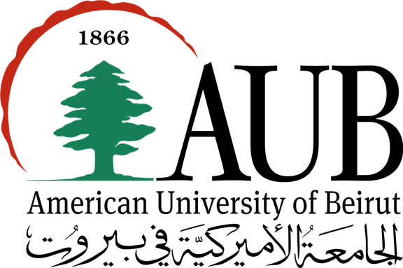 Job Announcement: The American University of Beirut Tenure-Track Assistant Professor in American Studies / Media Studies