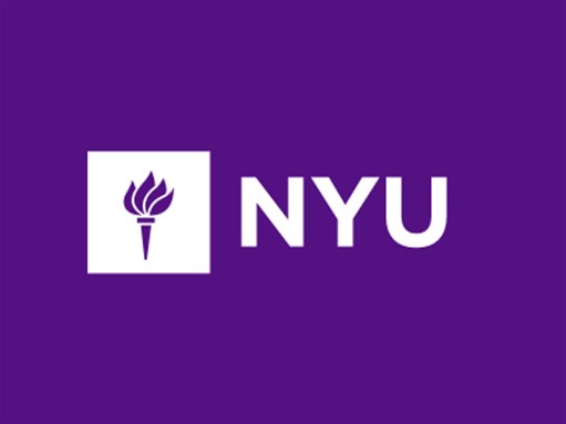 Call for Papers: Energy and the Left (New York University, 30 November 2018)