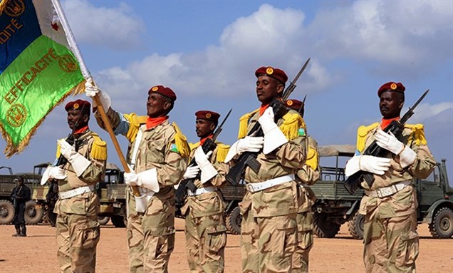 Djibouti soldiers at attention, via Wikimedia Commons