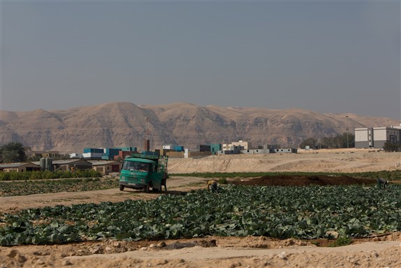 Palestinian farms near Nablus. By Joost Adriaanse via Shutterstock.