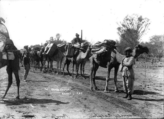 Australianama: Coloring Australian History