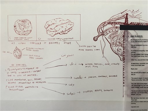 Lamia Abukhadra, How to Shrivel (2019)