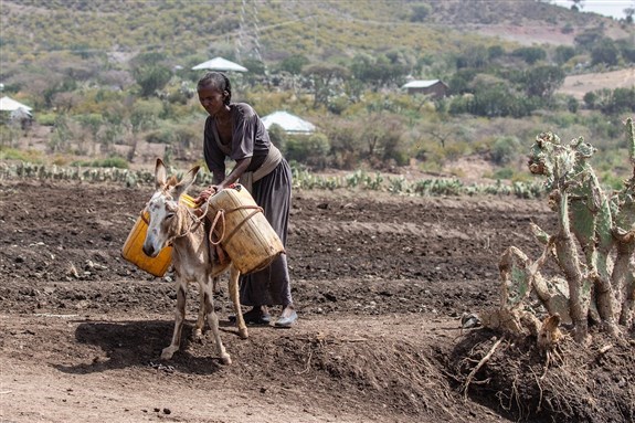 For the People of the River, Not Investors: Toward a “Declaration of Principles” Guaranteeing Farmers’ Rights to the Waters of the Nile