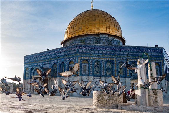 Palestine Media Roundup (17 May)