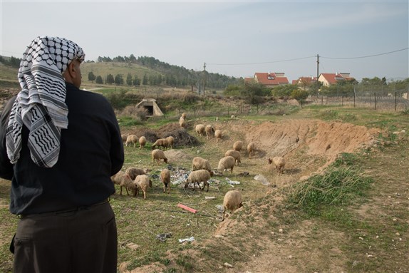 A Palestinian man tends his sheep near the illegal West Bank Israeli settlement Mehola, January 22, 2014. Image by Ryan Rodrick Beiler via Shutterstock.