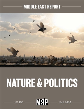 Announcing the New Issue of Middle East Report (MER 296): Nature & Politics