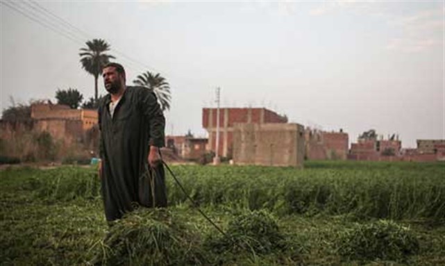 Egypt Media Roundup (27 December)