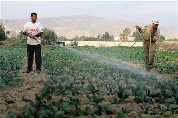 التنمية المستدامة: حماية للإنسان والبيئة