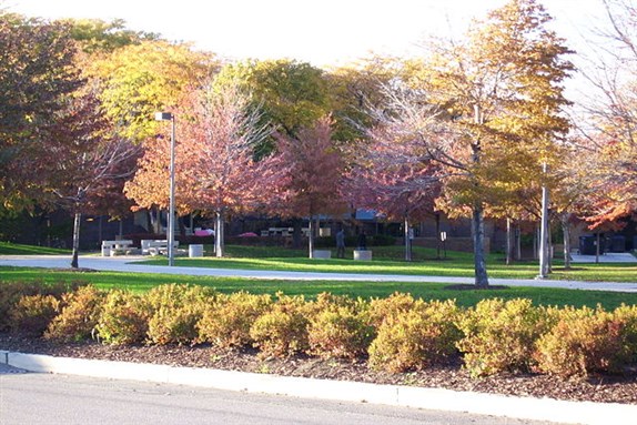[University of Illinois at Chicago East Campus. Image by Hied5 via Wikimedia Commons]