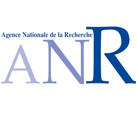  Call for Papers: Medinas in the 20th and 21th Centuries. (Algiers, February 2015)