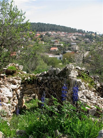[‘Allar Village Wall. Image from Palestineremembered.com]