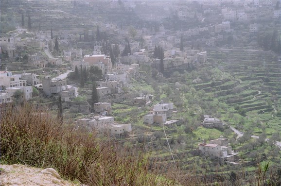 [Village of Battir. Image by Idobi. From Wikimedia Commons.] 