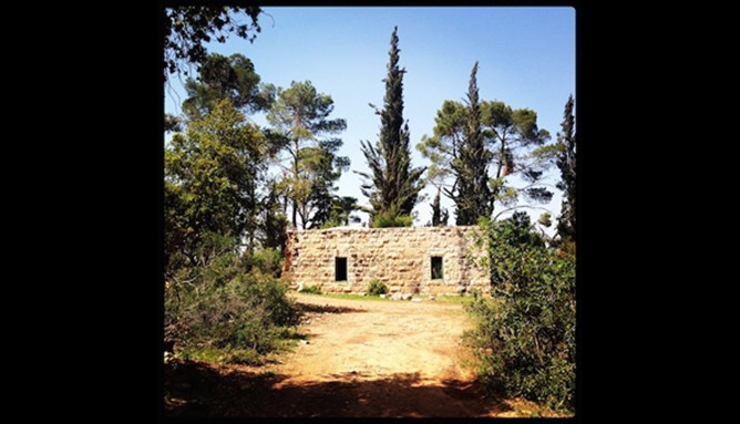 [An old Palestinian home remains in what is now a nature reserve park for the settlement of Halamish. West Bank, Palestine. Photo by Dana Erekat]