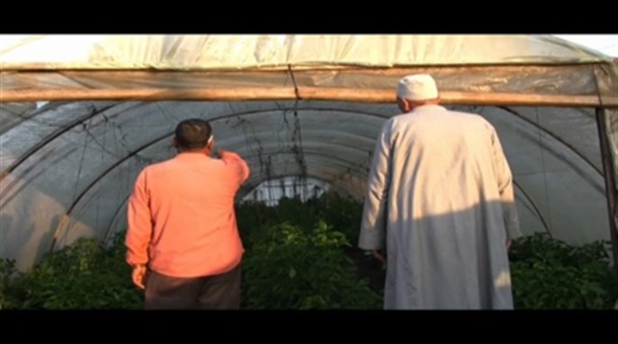 [Image from screen shot of film.]