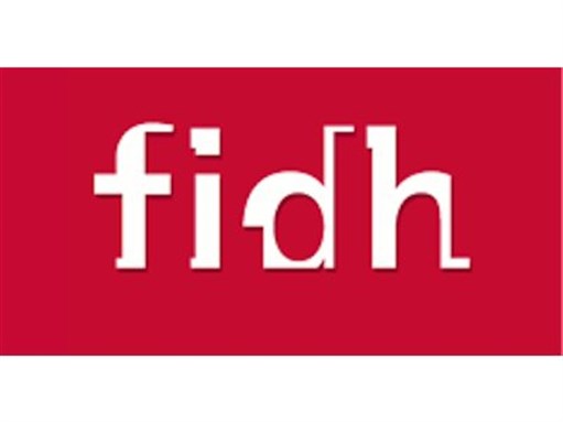 [International Federation for Human Rights logo. Image from fidh.org]