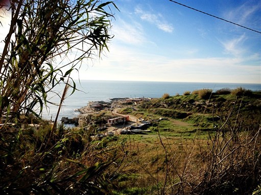 [Dalieh, Beirut. Image by author.]