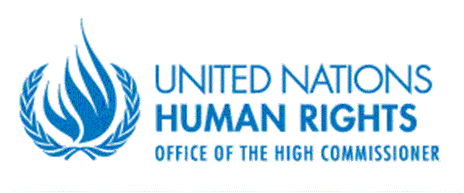 [UN OHCHR logo. Image from ohchr.org]