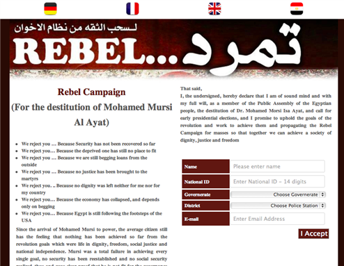 [Screenshot from Tamarod campaign`s website. Image from tamarod.com]