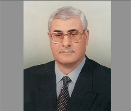 [Image of Adly Mansour. Image from Wikimedia Commons.]