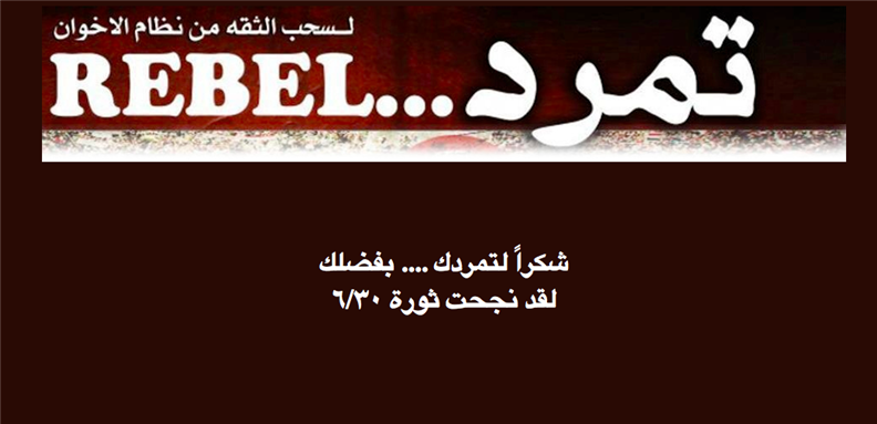 [Screenshot of the Tamarod campaign`s website. Image from tamarod.com]