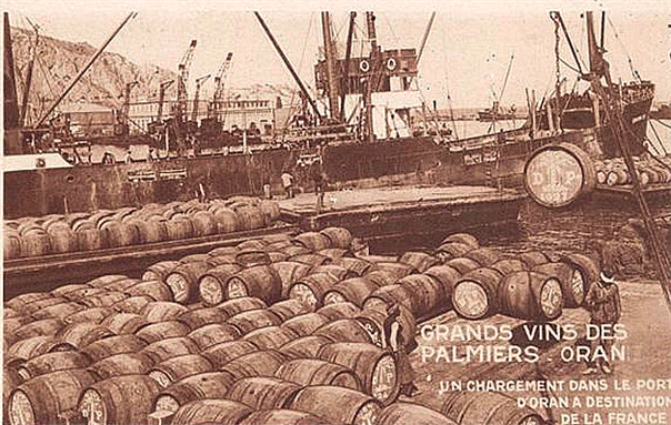 [1910 postcard displaying an image of wine shipments departing from Oran, Algeria for France. Image from Wikimedia Commons.]