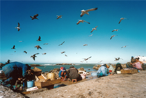 [Image of fishermen in Essaouira, Morocco. Image by Tiberio Frascari/Flickr.]