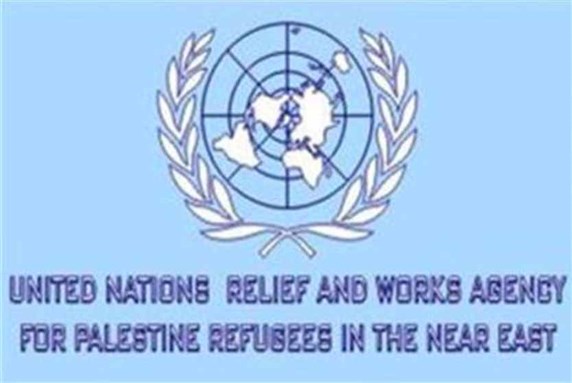 UNRWA Spokesperson Challenges Center for Near East Policy Research and Fox News on Gaza (Video)
