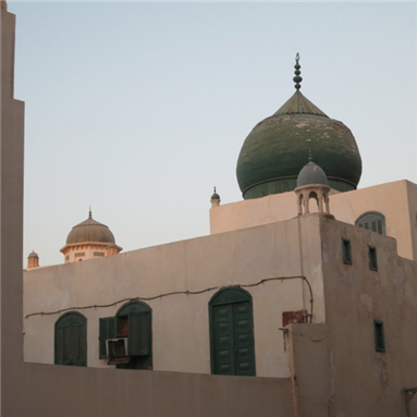 The Falah School in Jeddah: Civic Engagement for Future Generations?