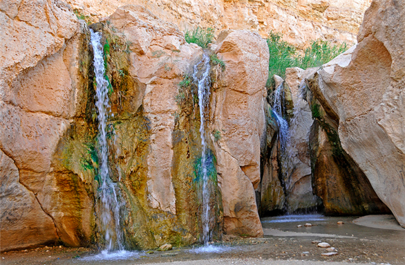 [Image from Tamerza, the largest mountain oasis of Tunisia. It lies in the mountains north of the salt lakes, and receives water from springs in the barren mountain. Image by Dennis Jarvis/Flickr]