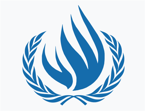 [Logo of the UN Human Rights Council]
