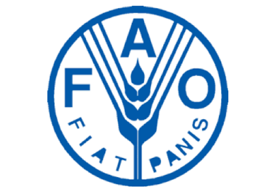 [Logo of the UN Food and Agriculture Organization.]