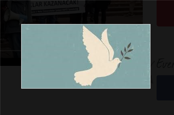 Call for Action: Solidarity with Purged Academics for Peace in Turkey