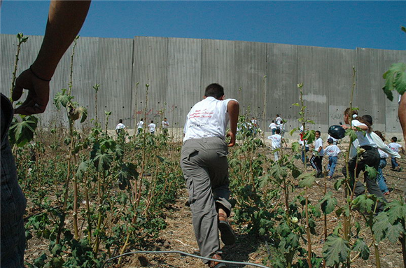 [Palestinian children running towards the Israeli West Bank Barrier. Picture taken by Justin McIntosh, uploaded via Wikimedia Commons ]