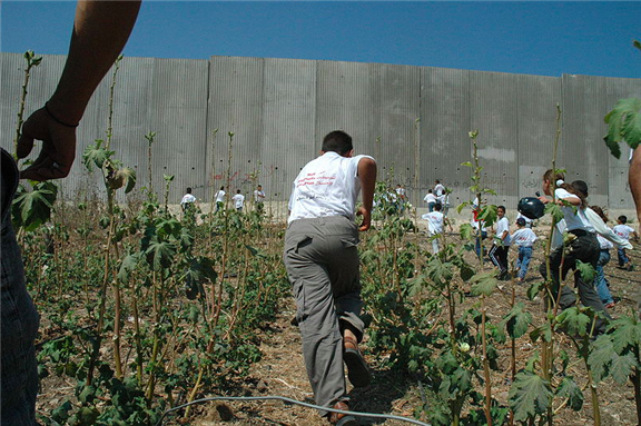 Palestine Media Roundup (September 17)
