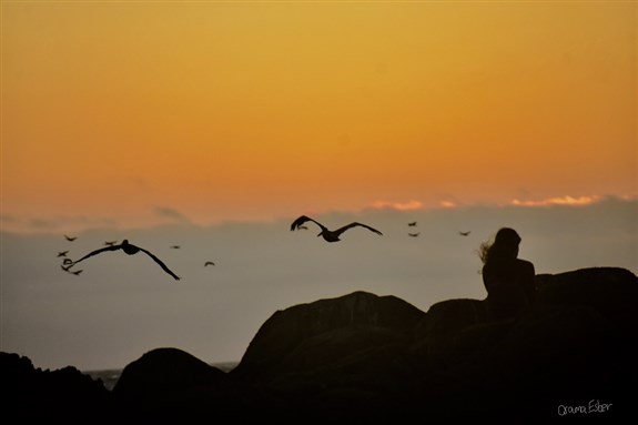 [تصوير: أسامة إسبر].