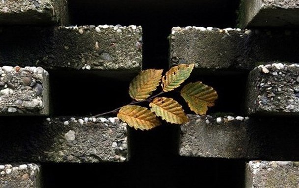 [Image taken from The Immanent Frame].