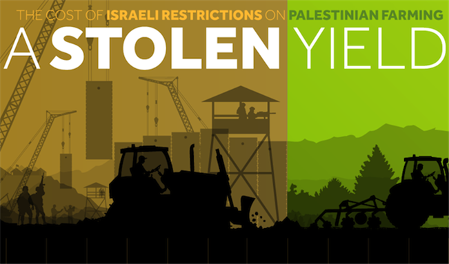 A Stolen Yield: The Cost of Israeli Restrictions on Palestinian Farming