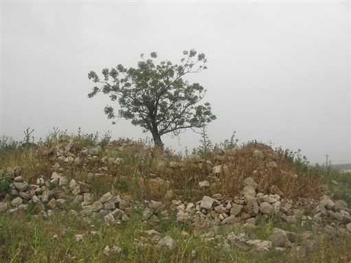[The remains of the cemetery at al-Birweh. Image by Maqbula Nassar, from palestineremembered.com]