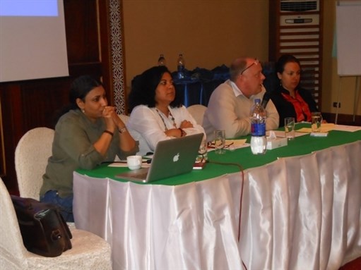 [Second panel of symposium. From left to right: Zeinab Abulmagd, Reem Saad (chair), Hans Christian Nielsen, and Mona Abaza. Image from Cairo Papers]